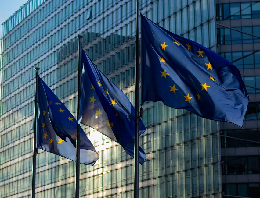Asesora fiscal analiza la normativa de facturación europea para evitar sanciones en empresas que exportan a Europa.